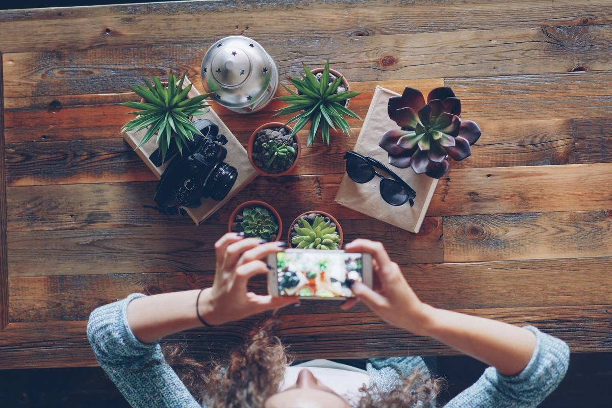 Wyszukiwanie multimodalne w Search Console: ruch z Google Lens Dłonie fotografują smartfonem rośliny w doniczkach na drewnianym stole, widok z góry, scena wyszukiwania obrazem